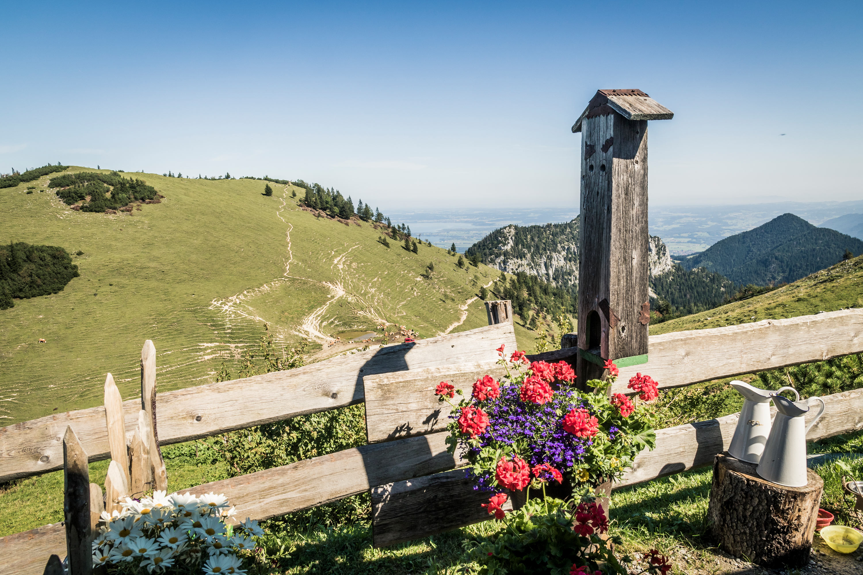 Tour Bergblumen & Bergg'schichten